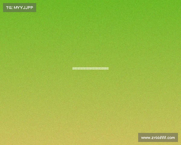 官方宣布汉堡租借矿工后卫戈乔雷什维利附带买断条款